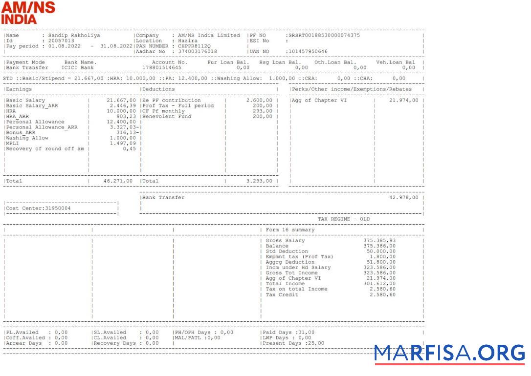 Realistic AM NS India Paystub real example